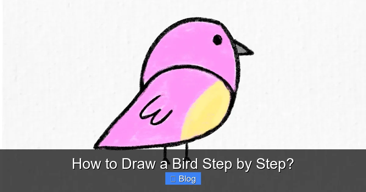 How to Draw a Bird Step by Step?
