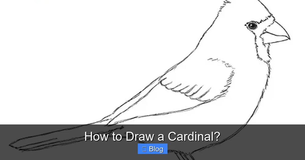How to Draw a Cardinal?