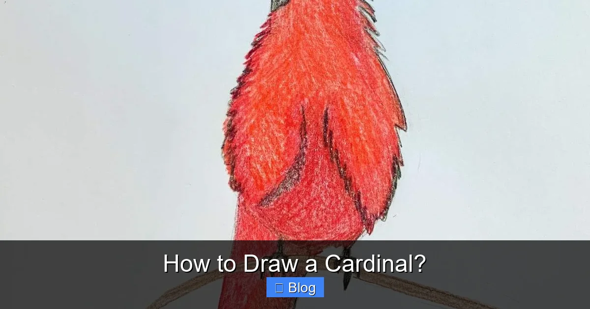 How to Draw a Cardinal?