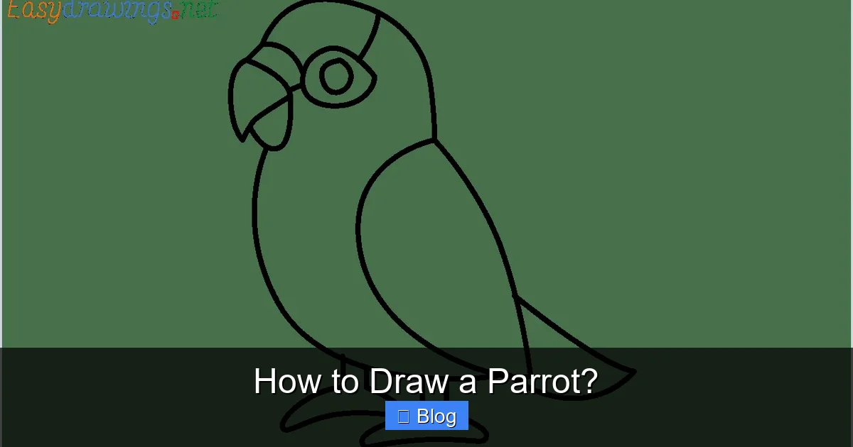 How to Draw a Parrot?