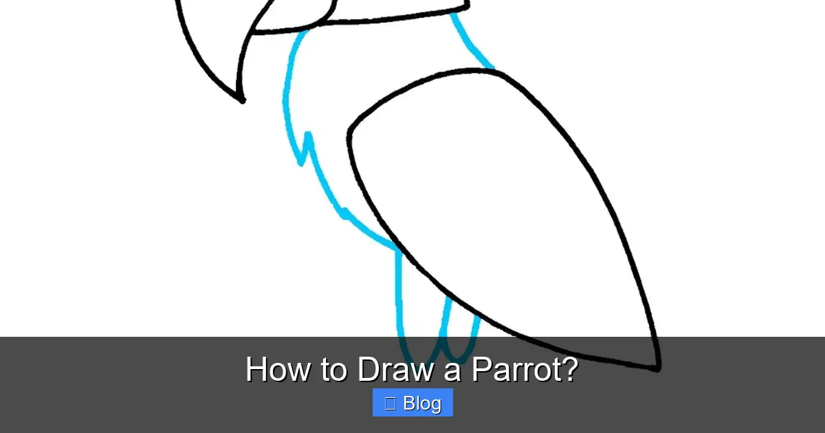 How to Draw a Parrot?