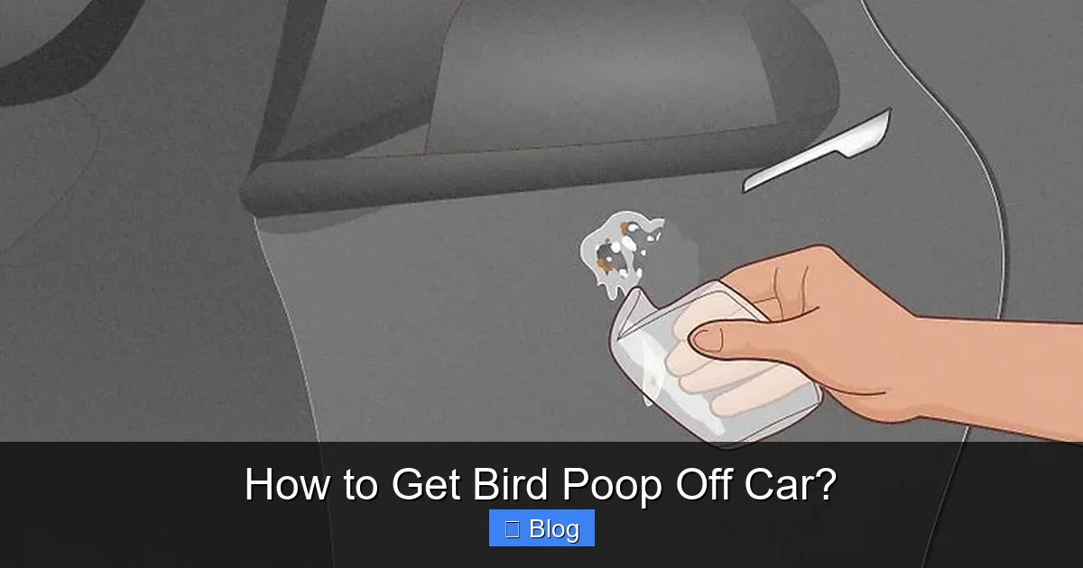 How to Get Bird Poop Off Car?