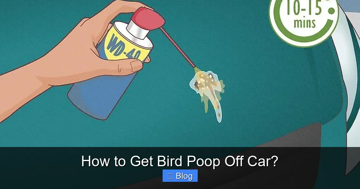 How to Get Bird Poop Off Car?