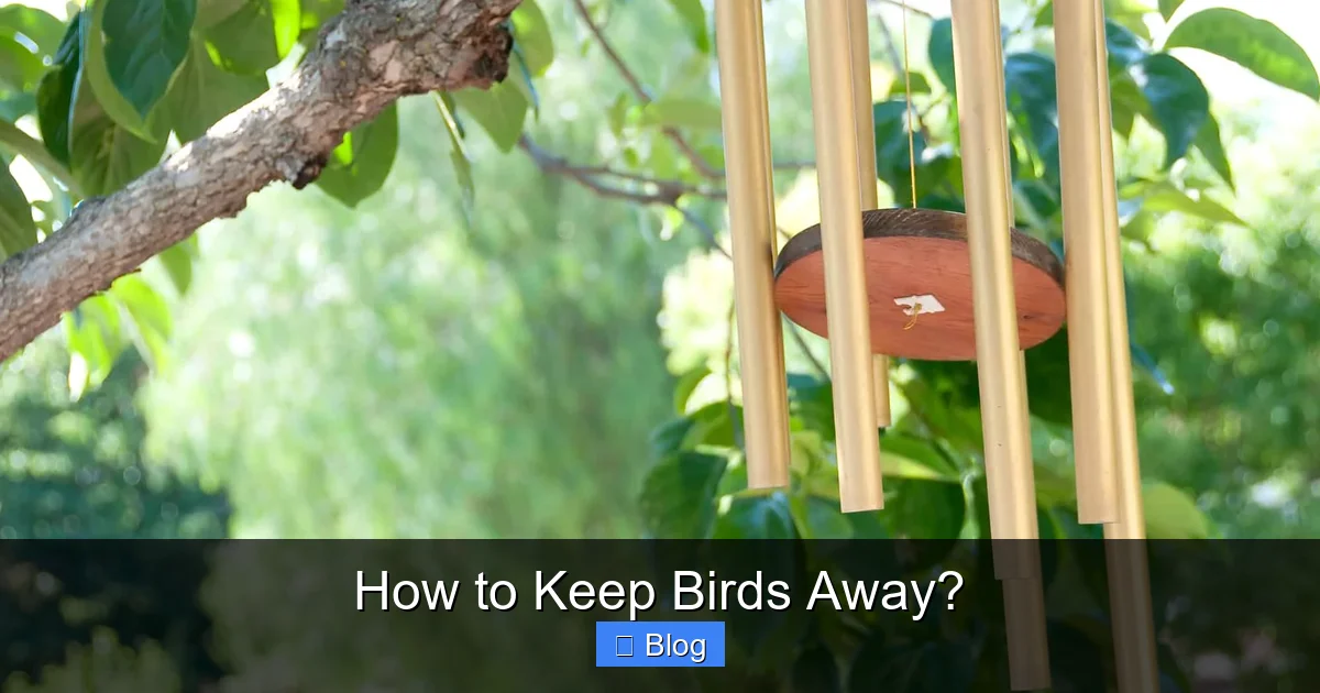 How to Keep Birds Away?