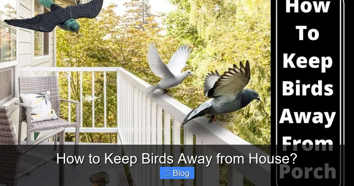 How to Keep Birds Away from House?