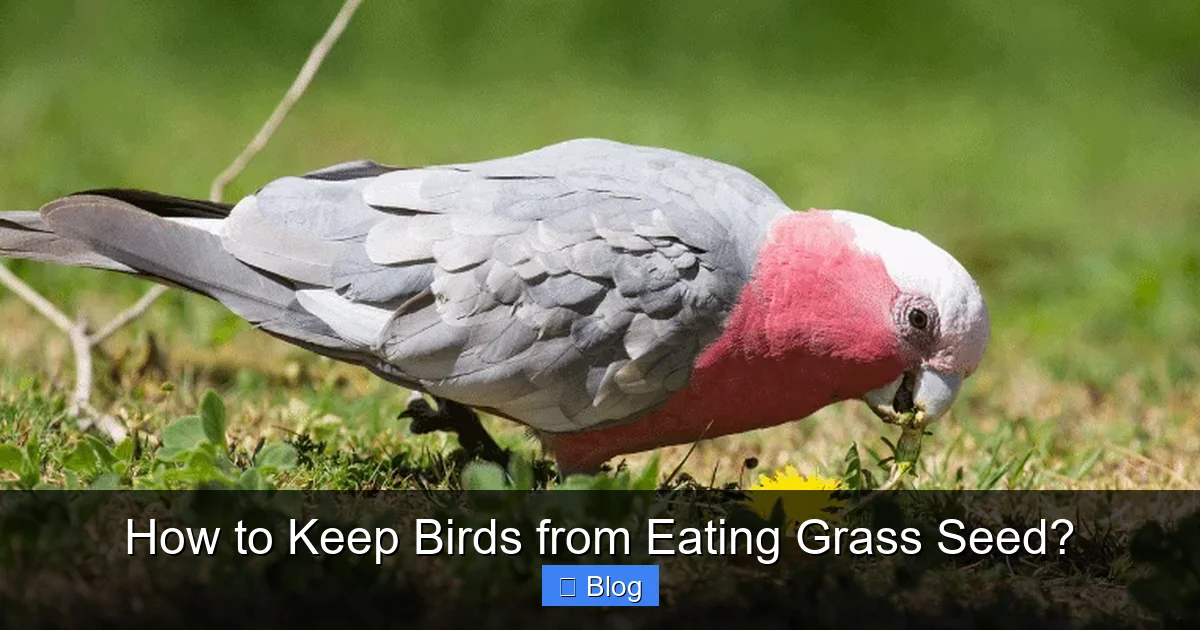 How to Keep Birds from Eating Grass Seed?