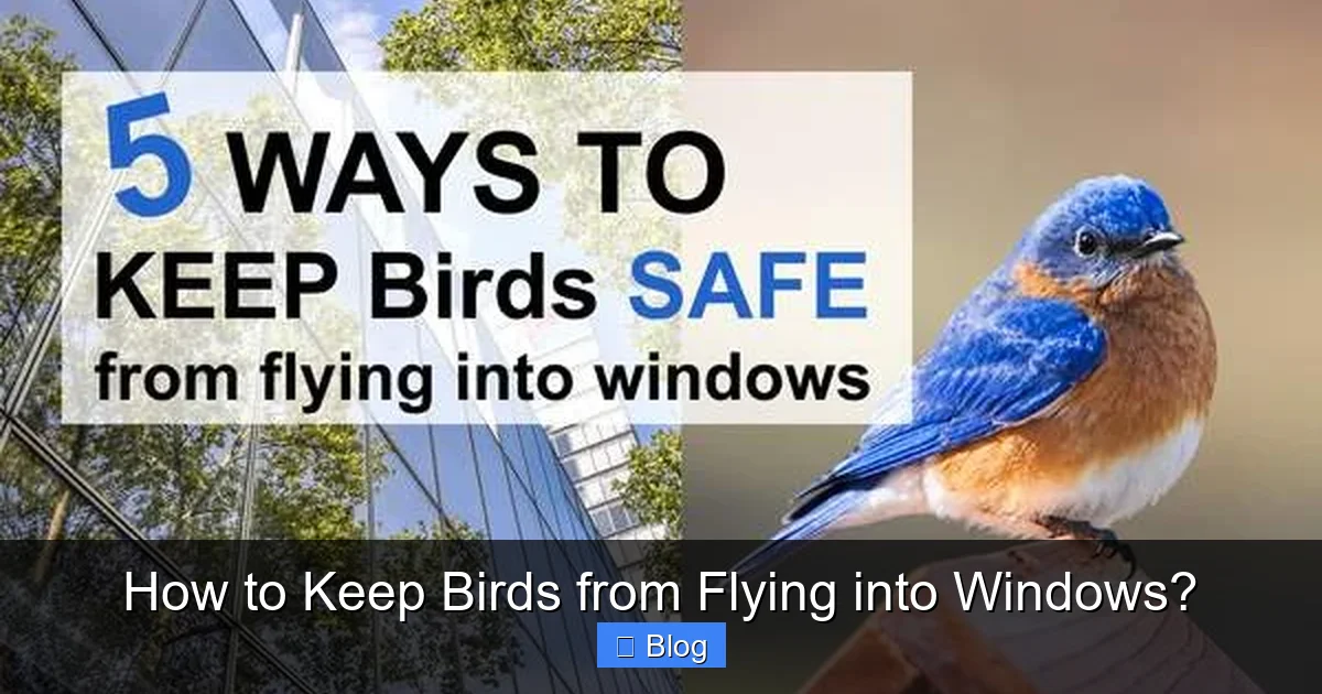How to Keep Birds from Flying into Windows?