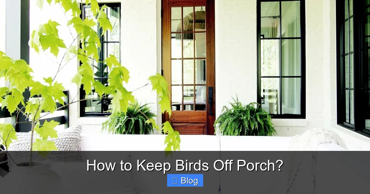How to Keep Birds Off Porch?
