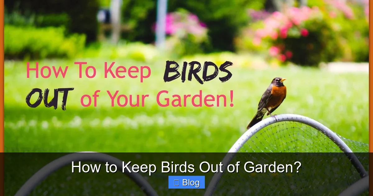 How to Keep Birds Out of Garden?