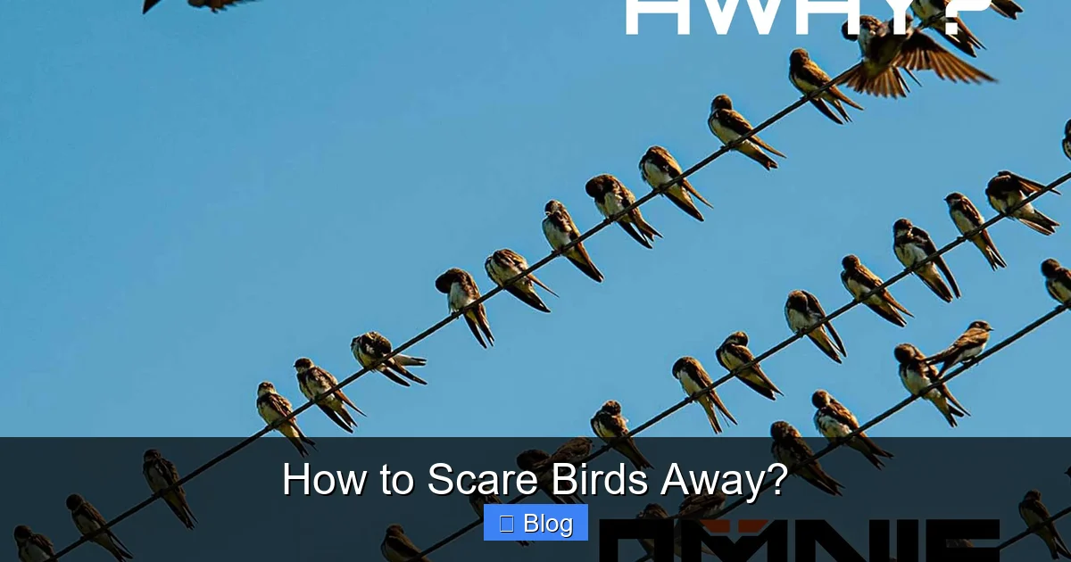 How to Scare Birds Away?