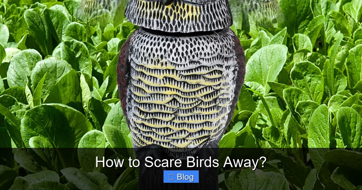 How to Scare Birds Away?