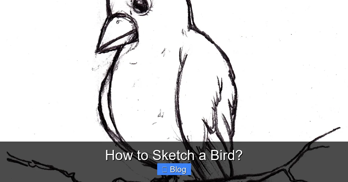 How to Sketch a Bird?