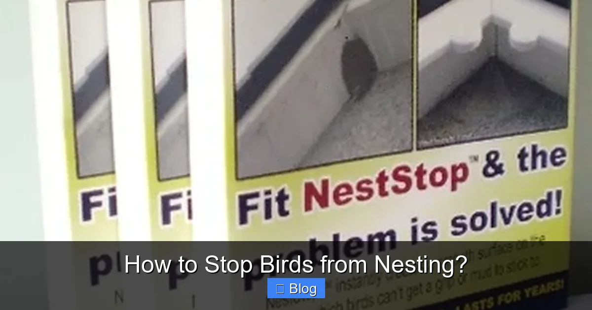 How to Stop Birds from Nesting?