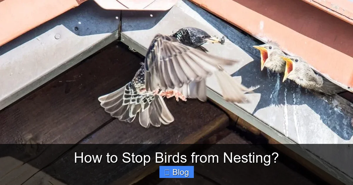 How to Stop Birds from Nesting?