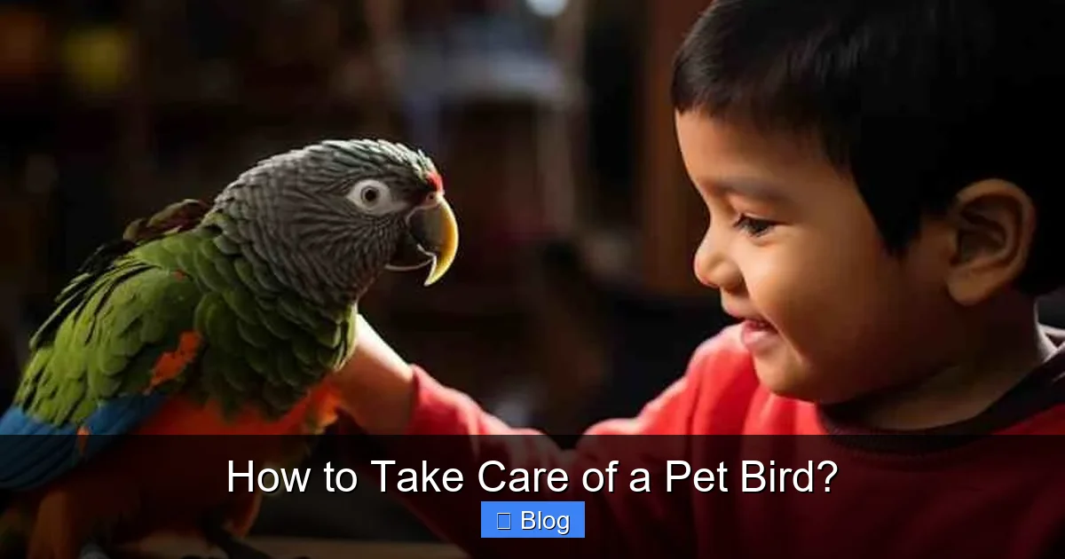 How to Take Care of a Pet Bird?