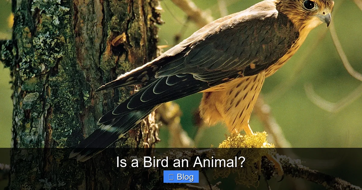 Is a Bird an Animal?