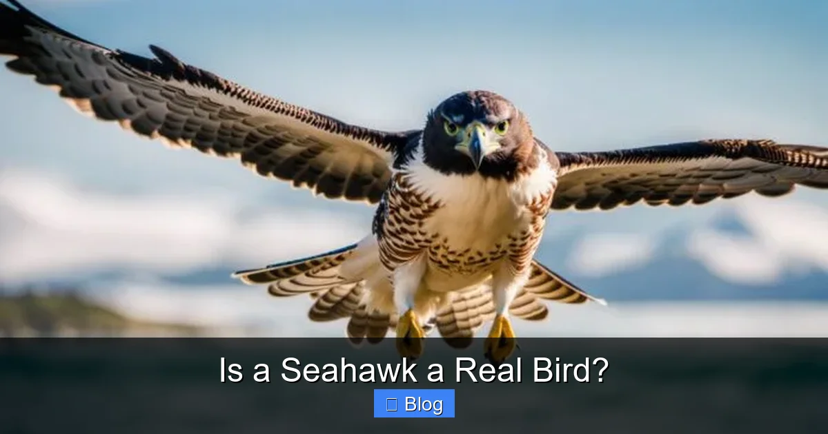 Is a Seahawk a Real Bird?