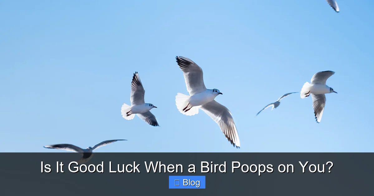 Is It Good Luck When a Bird Poops on You?
