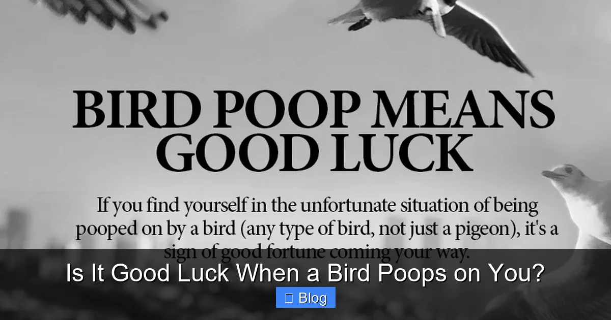 Is It Good Luck When a Bird Poops on You?