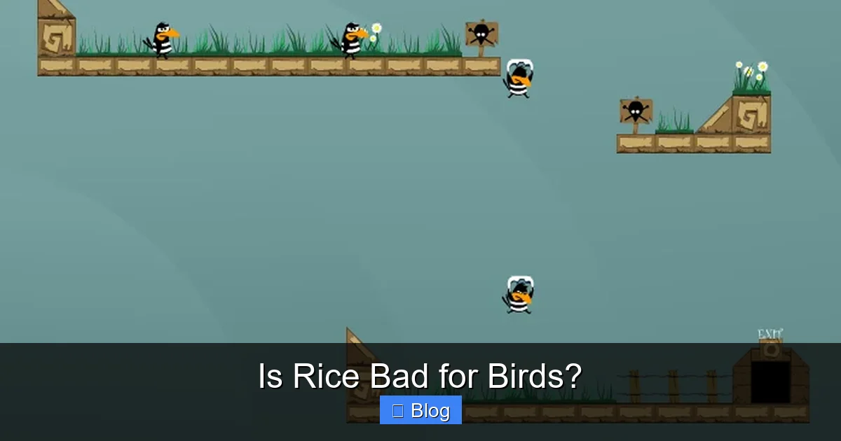 Is Rice Bad for Birds?