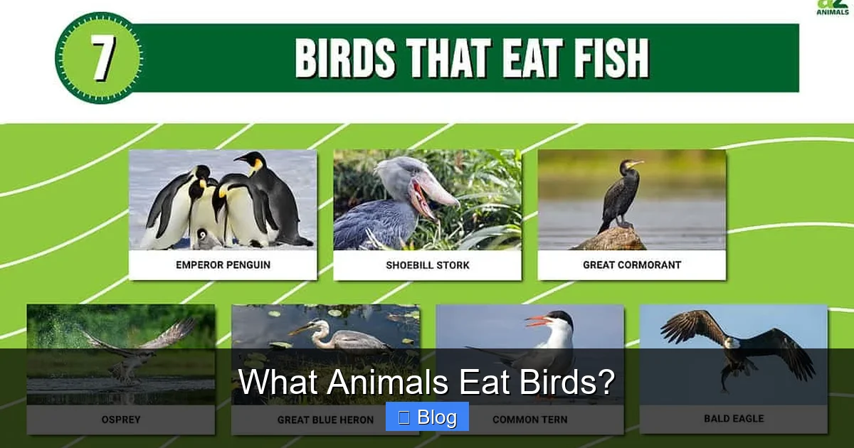 What Animals Eat Birds?