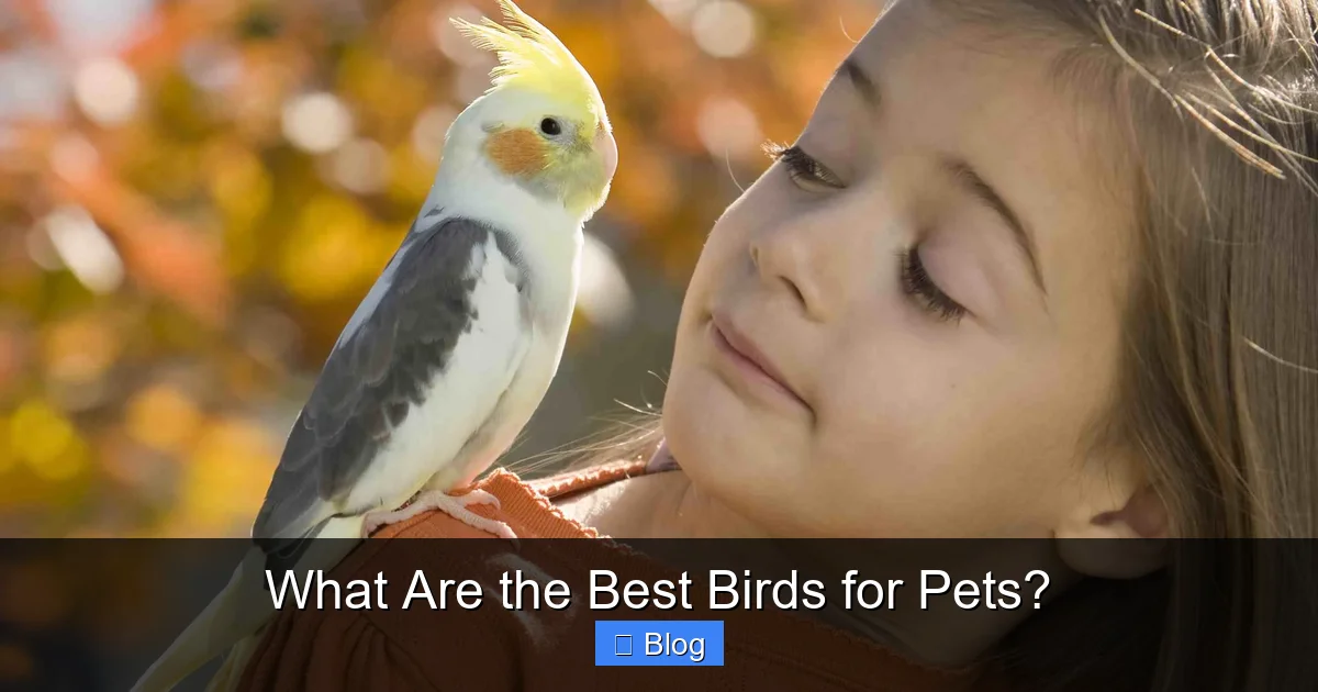 What Are the Best Birds for Pets?