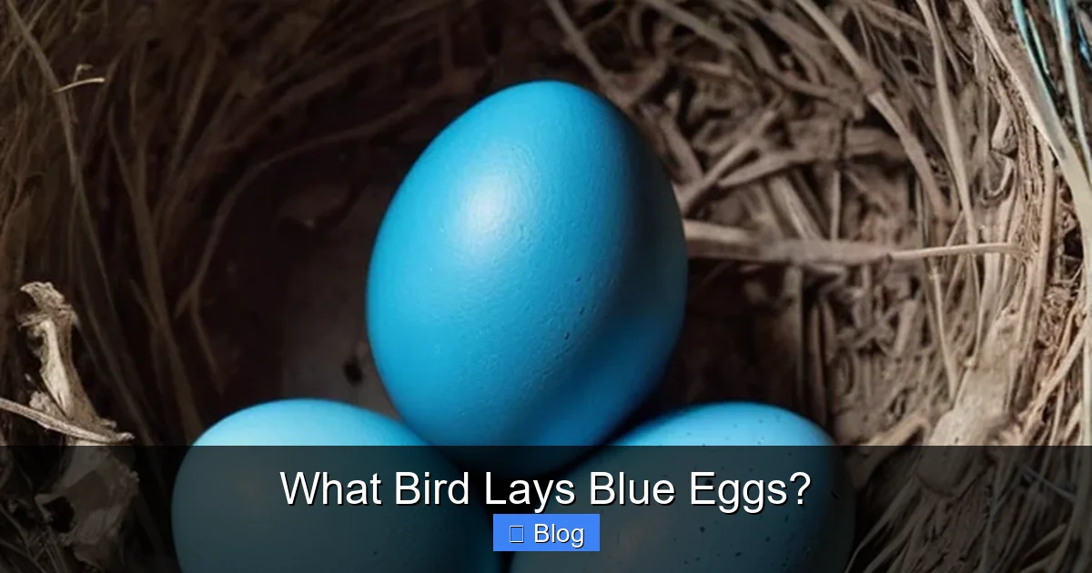 What Bird Lays Blue Eggs?