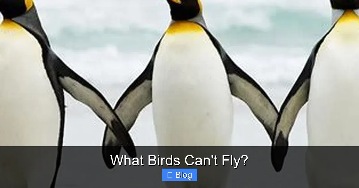 What Birds Can't Fly?