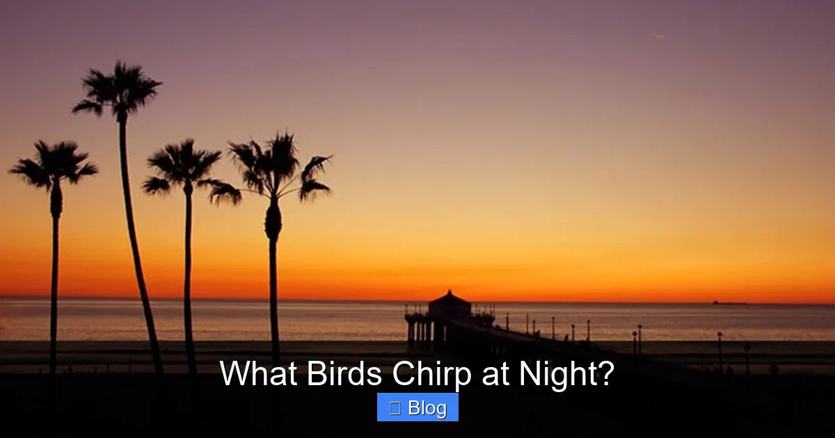 What Birds Chirp at Night?