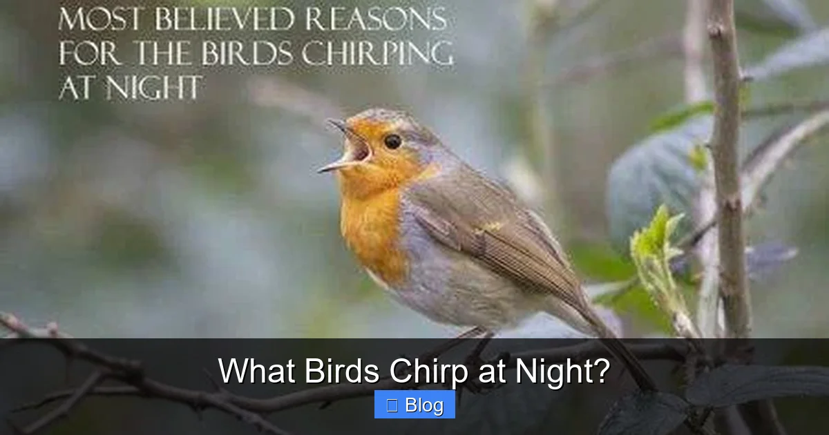 What Birds Chirp at Night?