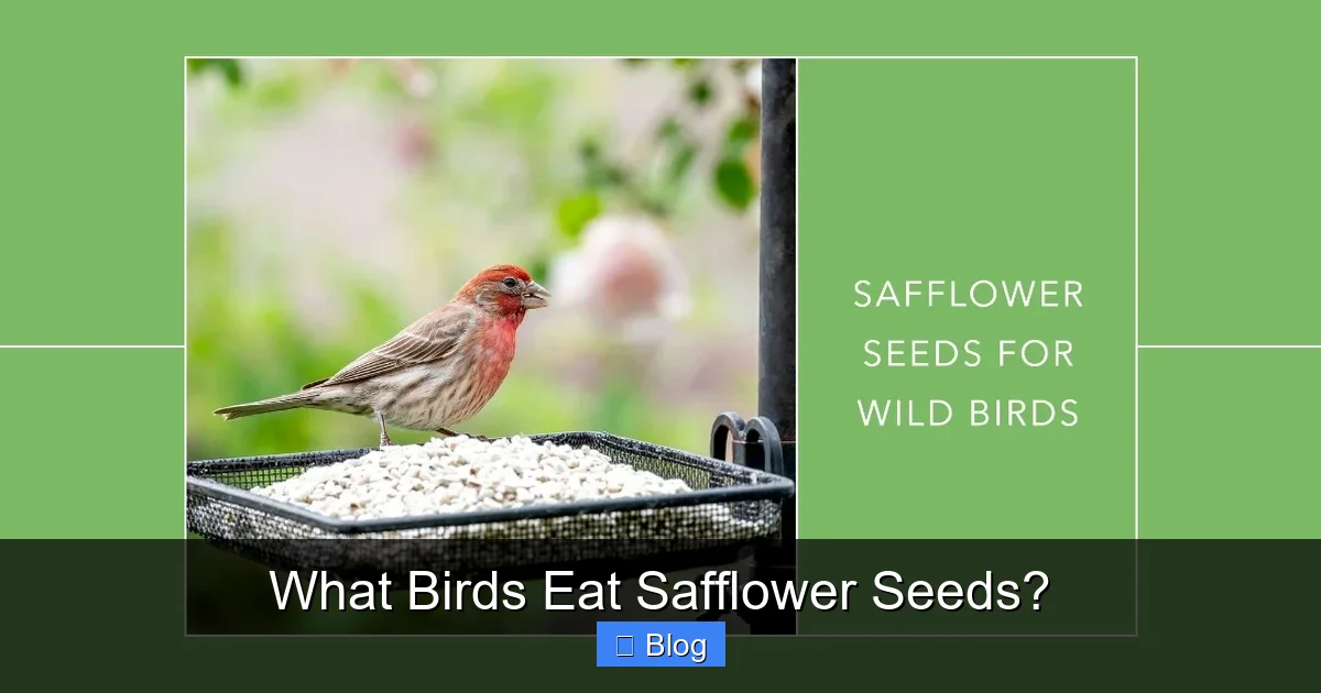 What Birds Eat Safflower Seeds?
