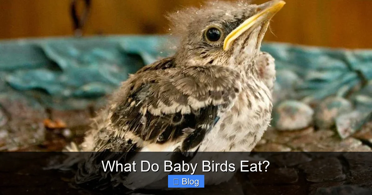 What Do Baby Birds Eat?