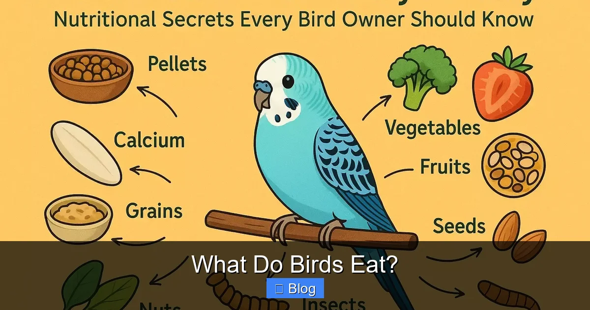 What Do Birds Eat?