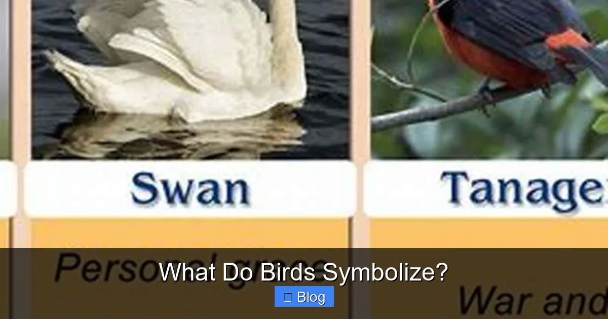 What Do Birds Symbolize?