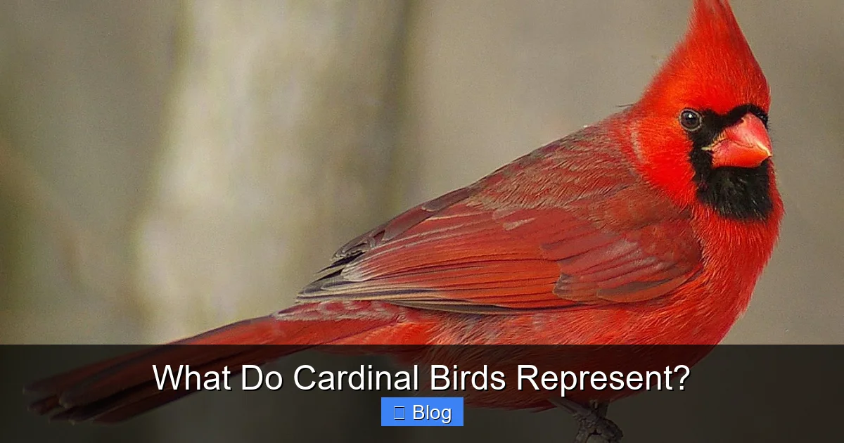 What Do Cardinal Birds Represent?