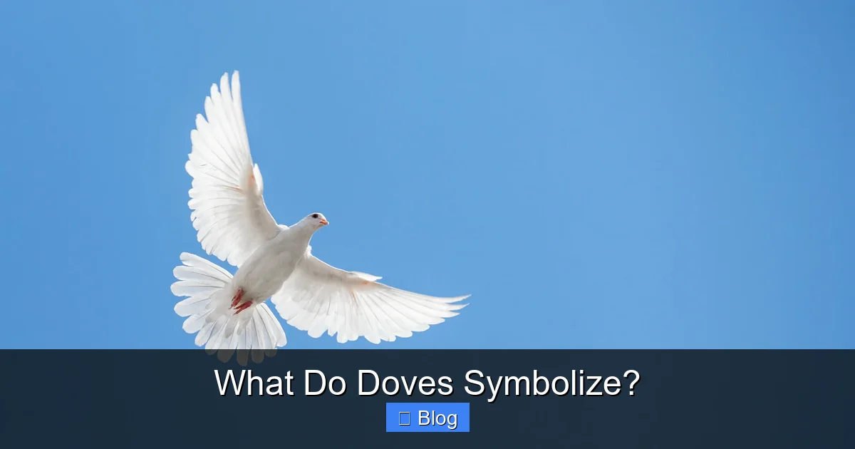 What Do Doves Symbolize?