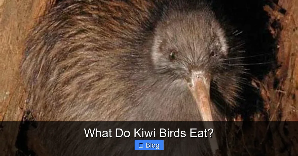 What Do Kiwi Birds Eat?