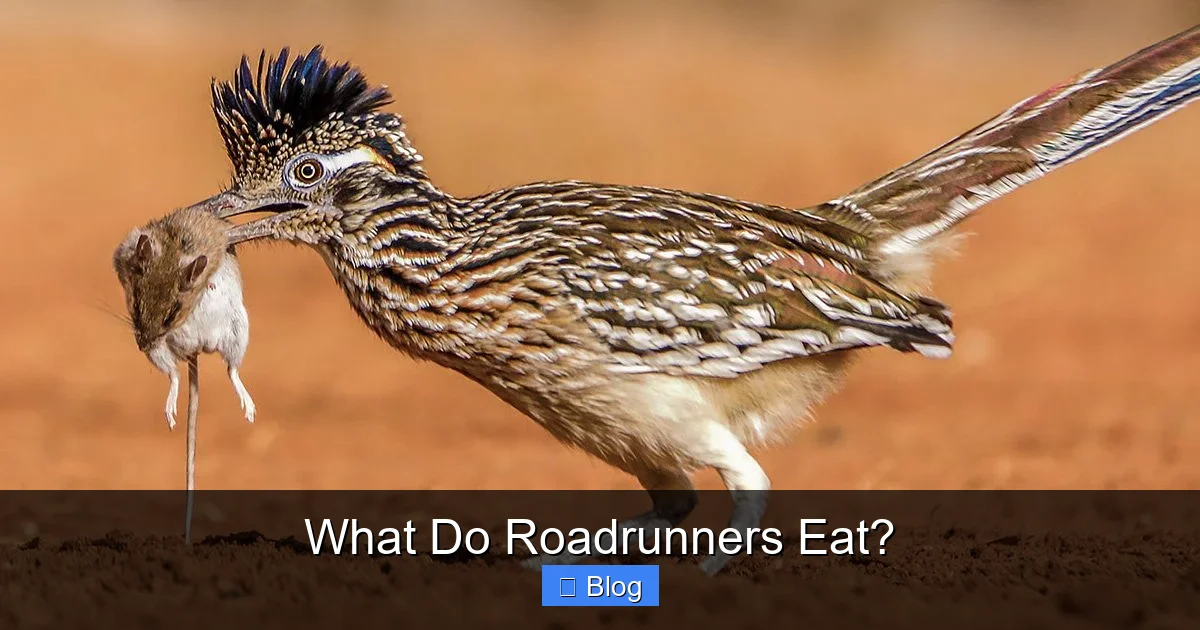 What Do Roadrunners Eat?