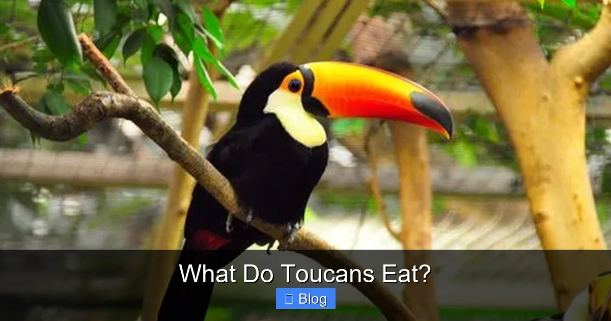 What Do Toucans Eat?