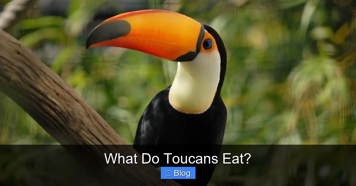 What Do Toucans Eat?