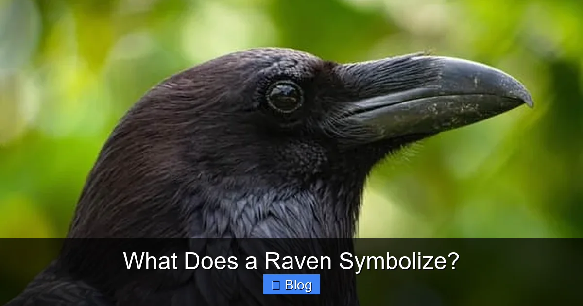 What Does a Raven Symbolize?