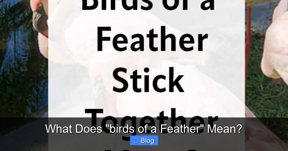 What Does “birds of a Feather” Mean?