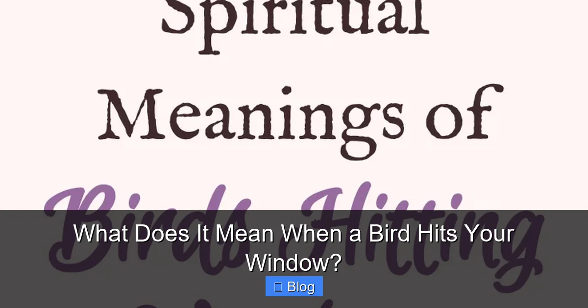 What Does It Mean When a Bird Hits Your Window?