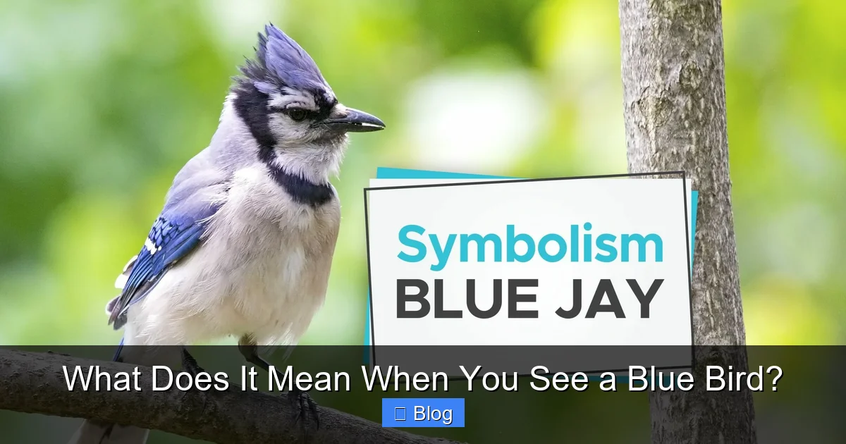 What Does It Mean When You See a Blue Bird?