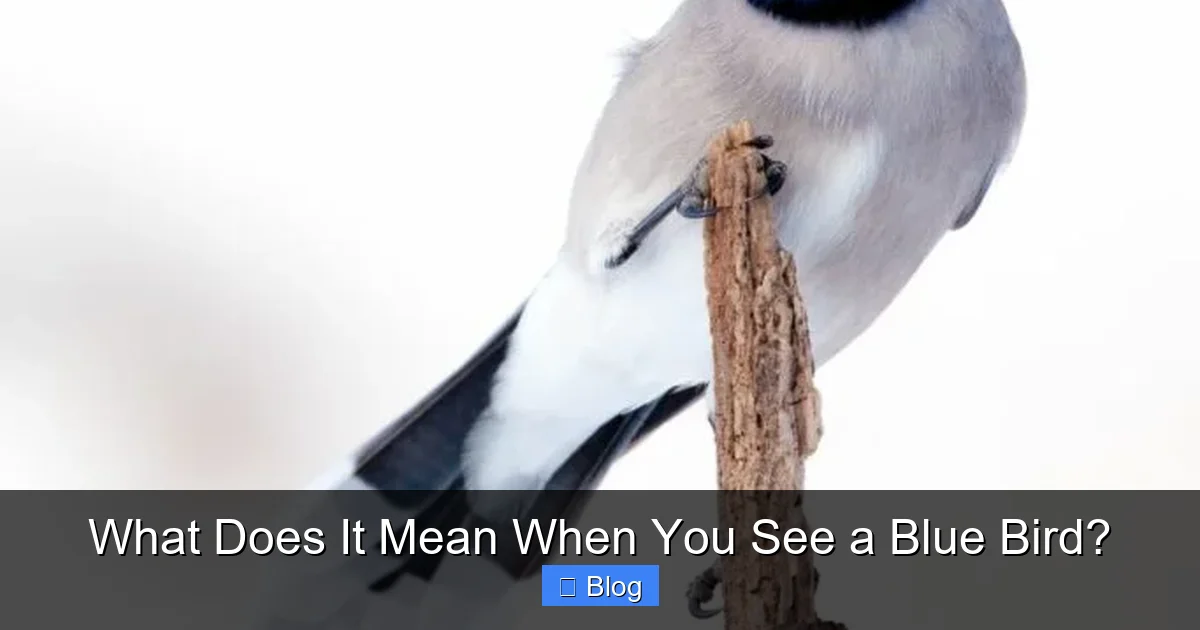 What Does It Mean When You See a Blue Bird?