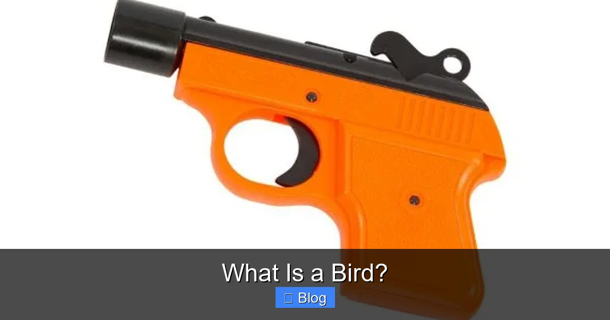 What Is a Bird?