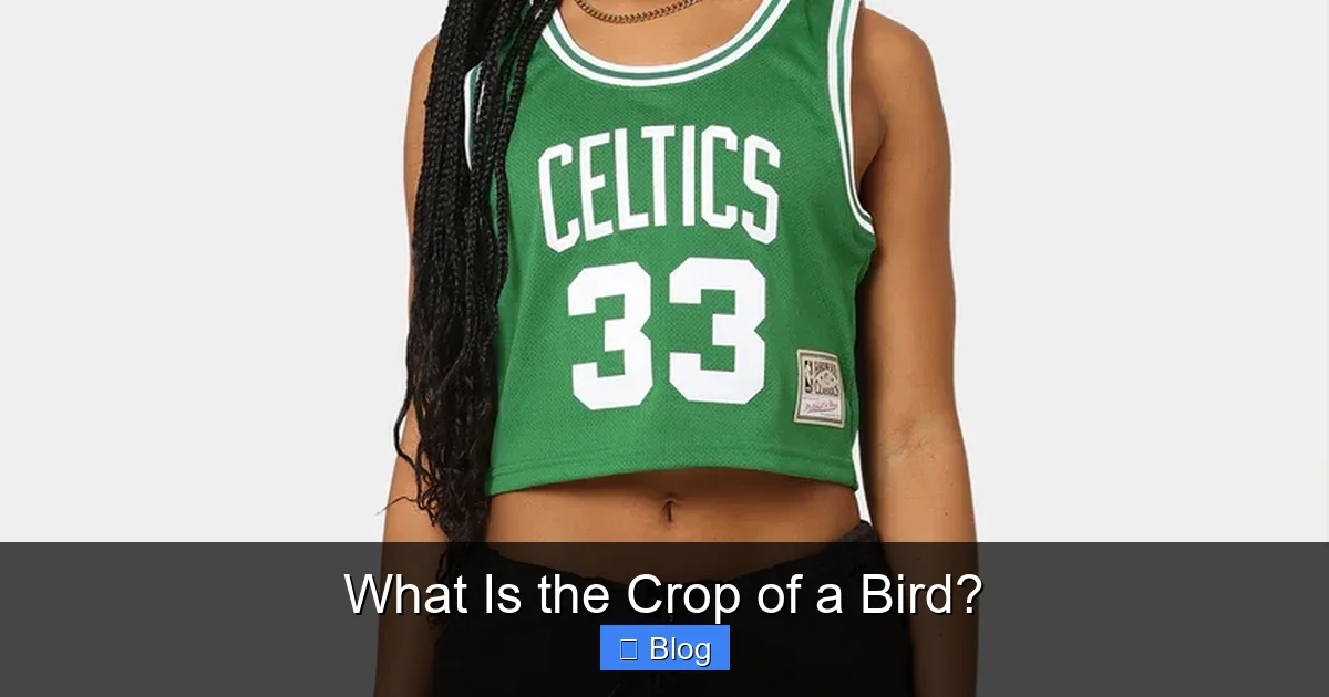 What Is the Crop of a Bird?