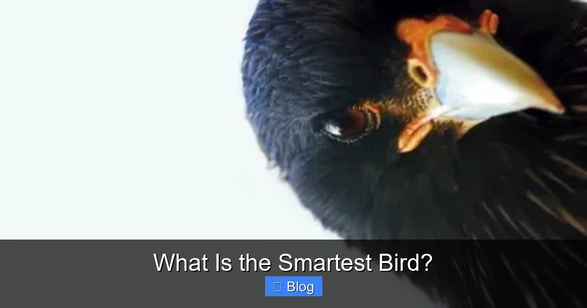 What Is the Smartest Bird?