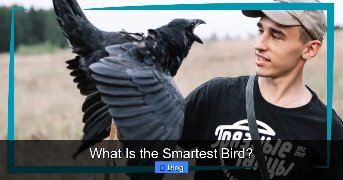 What Is the Smartest Bird?
