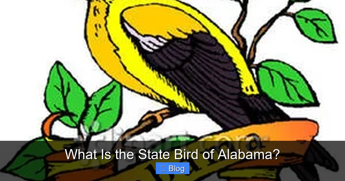 What Is the State Bird of Alabama?